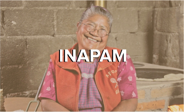inapam
