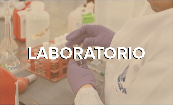 laboratorio